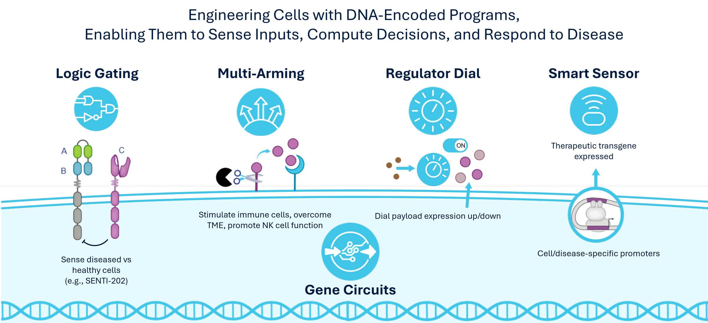 Approach_Overview_Programming-Gene-Circuits-to-Enhance-the-Potential-of-Cell-and-Gene-Therapies