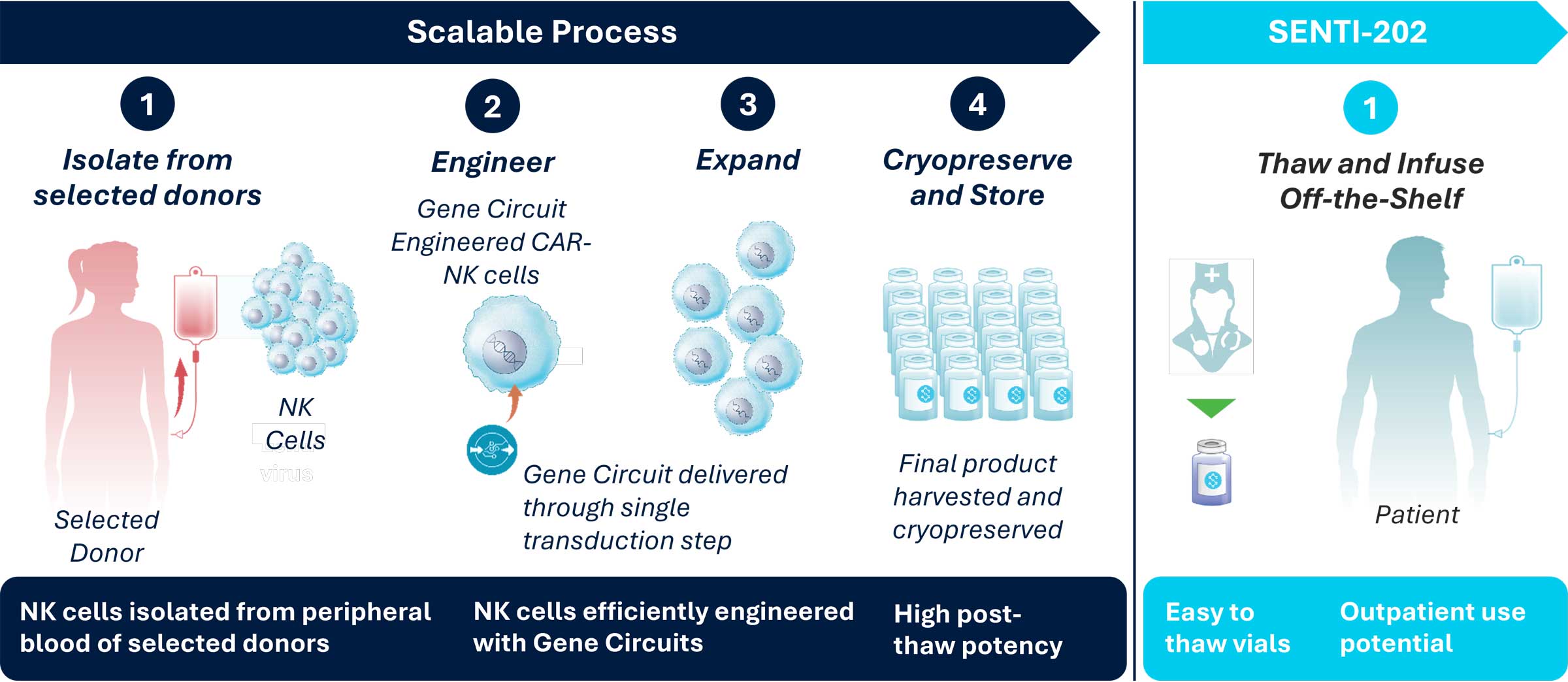 Approach-Off-the-Shelf-NK-Cells-_Strategic-Manufacturing-Capabilities