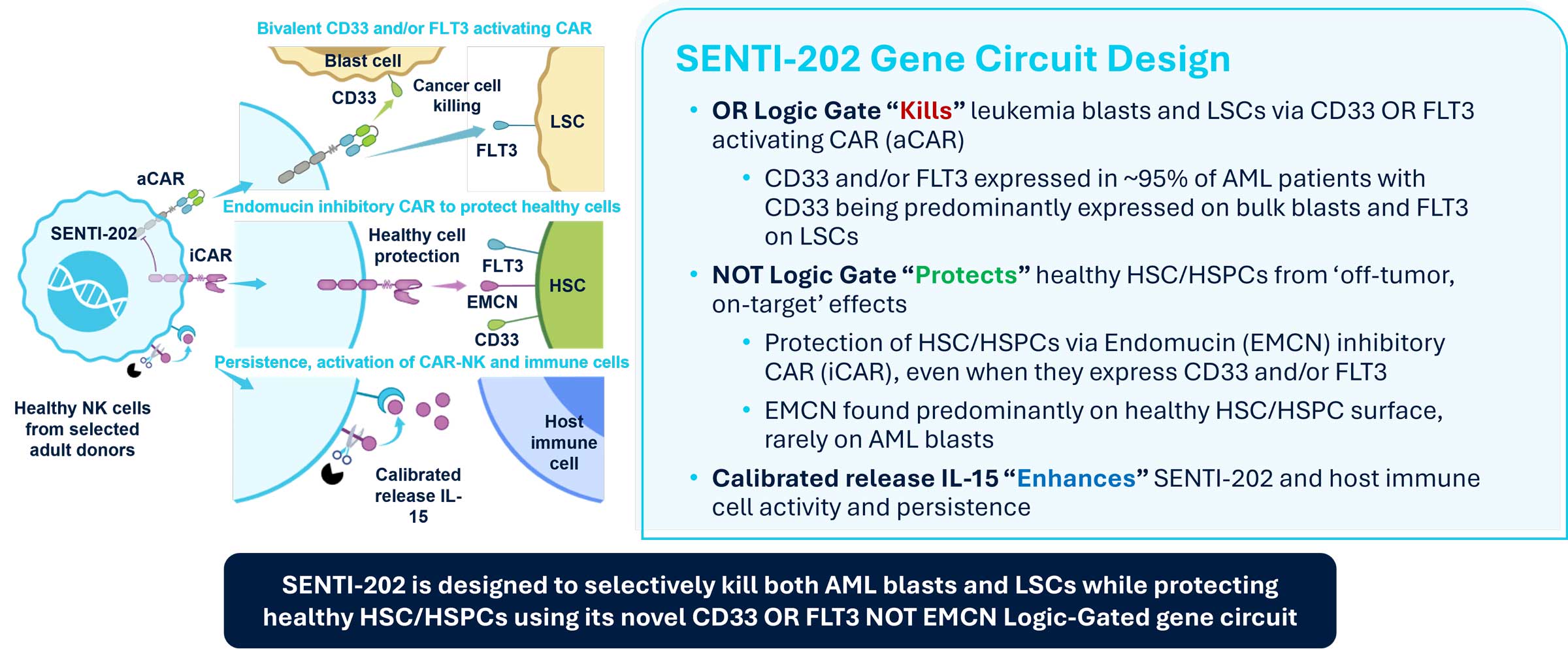 Research-and-Pipeline_Intelligently-Designed